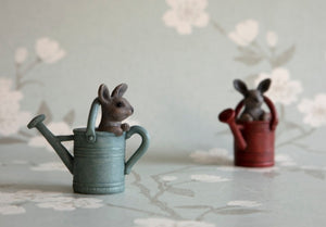 Bunny in Watering Can