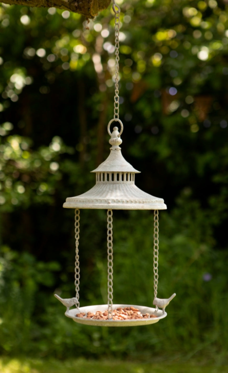 Tetto bird feeder