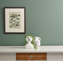 Load image into Gallery viewer, Frenchic Wall Paint Steaming Green
