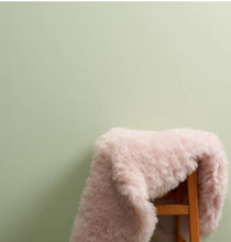 Load image into Gallery viewer, Frenchic Wall Paint Eye Candy
