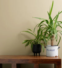 Load image into Gallery viewer, Frenchic Trim Paint Funky Dora
