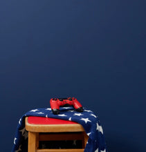 Load image into Gallery viewer, Frenchic Wall Paint Hornblower
