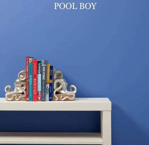 Frenchic Trim Paint Pool Boy