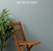 Load image into Gallery viewer, Frenchic Trim Paint Scotch Mist
