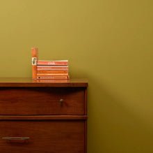 Load image into Gallery viewer, Frenchic Wall Paint Pea Soup
