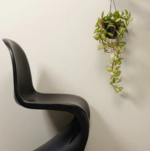 Load image into Gallery viewer, Frenchic Wall Paint Ivory Tower
