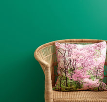 Load image into Gallery viewer, Frenchic Wall Paint Irish Dance
