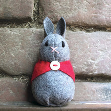 Load image into Gallery viewer, Rabbit with red cape
